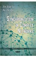Synchronization in Complex Networks