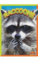 Raccoons: (Wild Animal Kingdom)