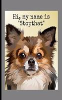 Hi, My Name Is "Stopthat"