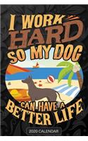 I Work Hard So My Dog Can Have A Better Life: Xoloitzcuintli 2020 Calendar - Customized Gift For Xoloitzcuintli Dog Owner