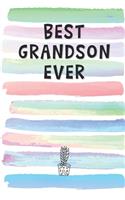 Best Grandson Ever