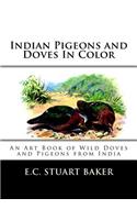 Indian Pigeons and Doves In Color