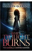 When Twilight Burns