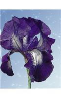 Purple Iris Notebook