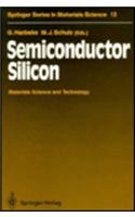 Semiconductor Silicon