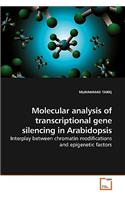 Molecular analysis of transcriptional gene silencing in Arabidopsis