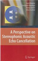 A Perspective on Stereophonic Acoustic Echo Cancellation