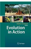Evolution in Action