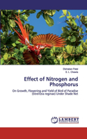 Effect of Nitrogen and Phosphorus