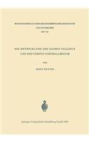 Die Entwicklung des Globus Pallidus und des Corpus Subthalamicum