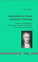 Anschaulichkeit Des Wissens Und Kulturelle Sinnstiftung: Beitrage Aus Lebensphilosophie, Phanomenologie Und Symbolischem Idealismus Zu Einer Goetheschen Fragestellung(German)