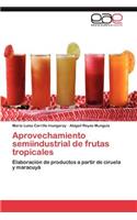 Aprovechamiento semiindustrial de frutas tropicales