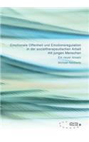 Emotionale Offenheit und Emotionsregulation in der sozialtherapeutischen Arbeit mit jungen Menschen