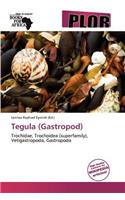 Tegula (Gastropod)