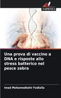 prova di vaccino a DNA e risposte allo stress batterico nel pesce zebra