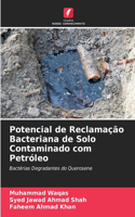 Potencial de Reclamação Bacteriana de Solo Contaminado com Petróleo