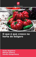O que é que cresce na horta do búlgaro