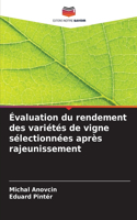 Évaluation du rendement des variétés de vigne sélectionnées après rajeunissement