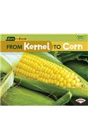 From Kernel to Corn: (Start to Finish)