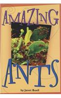 Amazing Ants