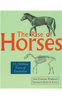The Rise of Horses