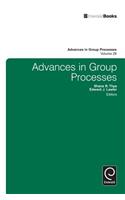 Advances in Group Processes: (28 Advances in Group Processes)