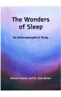 The Wonders of Sleep