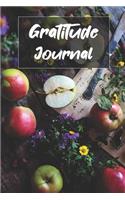 Gratitude Journal