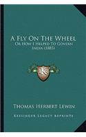 Fly on the Wheel