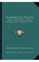 Flowerless Plants