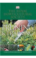 RHS Pruning and Training