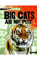 Big Cats Are Not Pets!