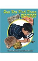 Can You Find These Rocks?