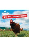 Los Pollos / Chickens