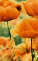 Orange Poppies Journal: (Blank Book, Notebook, Diary)