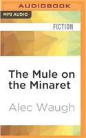Mule on the Minaret