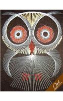 Owl Notebook Collection