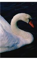 Swan Notebook