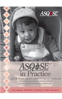 Ages & Stages Questionnaires(r) Social Emotional (Asq: Se) in Practice (DVD)