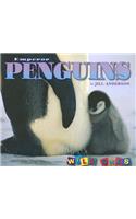 Emperor Penguins