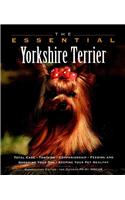 The Essential Yorkshire Terrier