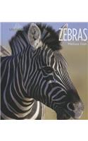 Zebras
