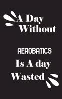 day without aerobatics is a day wasted