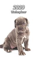 2020 Wochenplaner: Cane Corso Italiano Welpe - 107 Seiten, 15cm x 23cm ca. A5 - Taschenkalender - Terminplaner - Tagebuch - Terminkalender - Organizer für Hundeliebhab