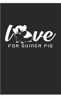 Love for guinea pig