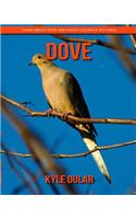 Dove! Learn about Dove and Enjoy Colorful Pictures