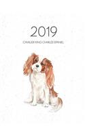 2019 Cavalier King Charles Spaniel: Dated Weekly Planner with to Do Notes & Dog Quotes - Cavalier King Charles Spaniel