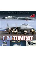 Grumman F-14 Tomcat in Combat