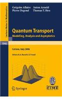 Quantum Transport