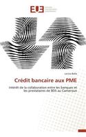 Cr?dit Bancaire Aux Pme